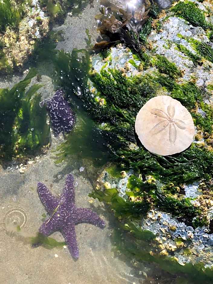 Kye Bay BnB - A Place to Breathe