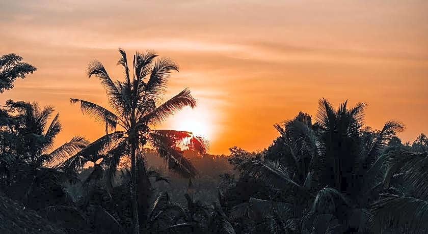 Bali Bamboo Jungle Huts And Hostel.