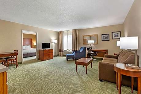 1 King Bed Suite Nonsmoking