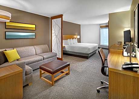1 King Bed With Sofabed