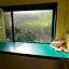 Zamamia International Guesthouse