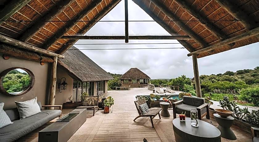 Bukela Game Lodge - Amakhala Game Reserve