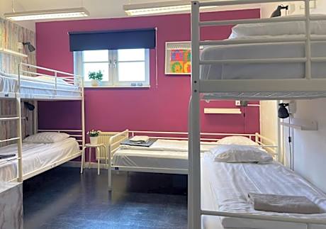 Bed in 6-Bed Dormitory Room