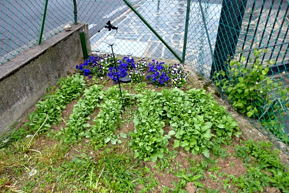 B & B Ametista Bergamo