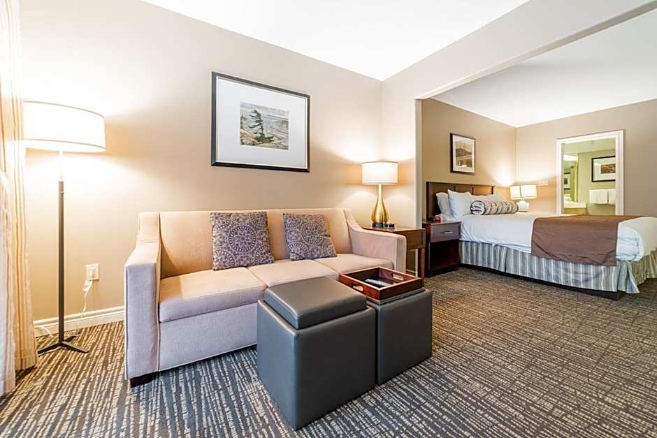 Horseshoe Valley Suites - The Azure