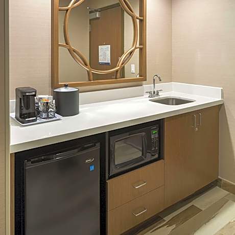 1 King Microwv/Fridge/Wet Bar Studio Suite Ns