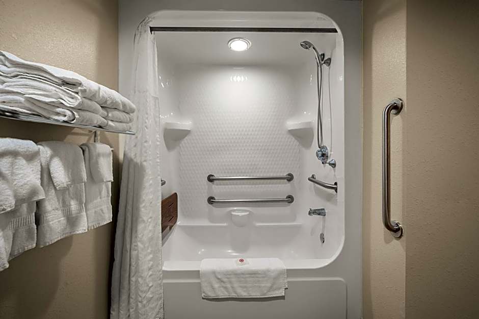 Comfort Inn & Suites In Fenton