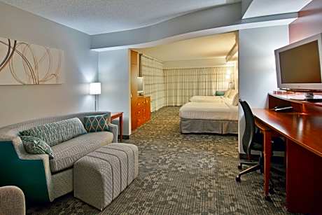 Suite, 1 King Bed with Sofa bed (1 King Bed and 1 Double Sofa Bed)