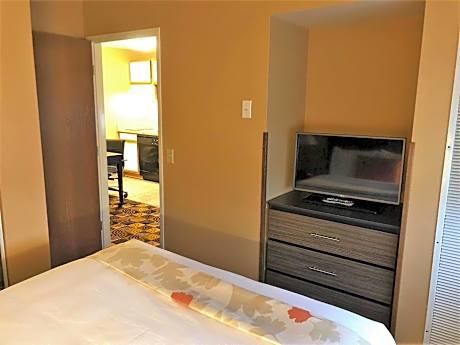 Deluxe Queen Suite - Non-Smoking