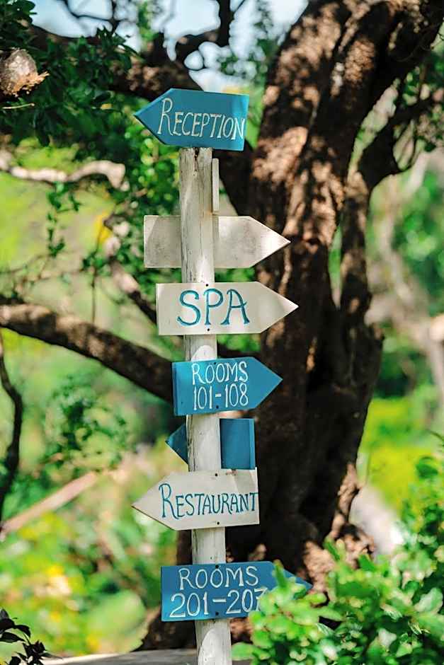 Pearl Beach by Sansi