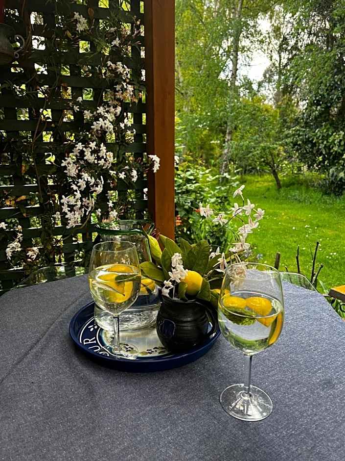 Green Gables B&B Waterfront Apartment or Garden Studio