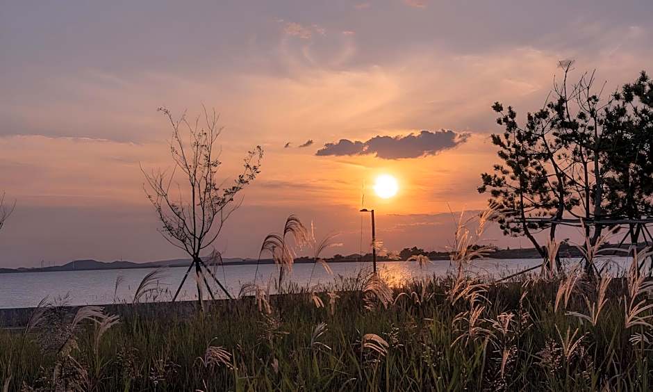 Brown Dot Siheung Geobuksum