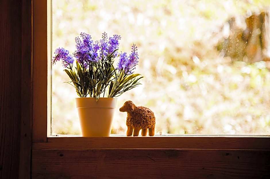 Külmamäe puhkemaja