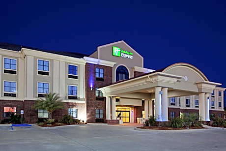 Holiday Inn Express Hotel & Suites Vidor South By IHG