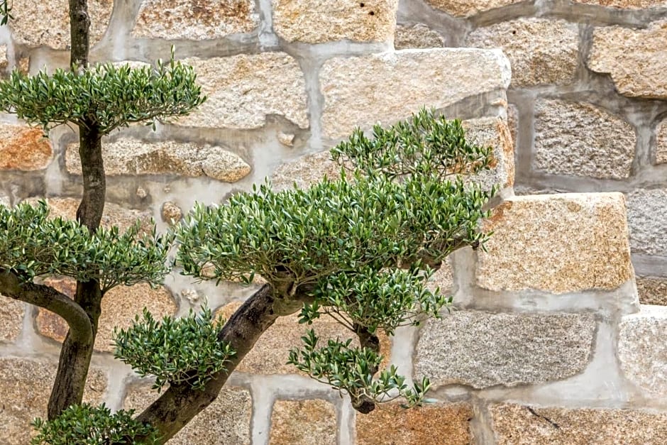 Porto Deluxe Guesthouse