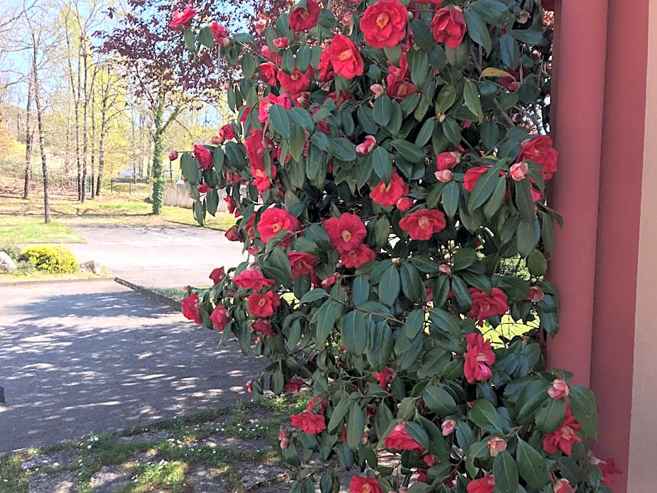 Campanile NATURE - Cahors