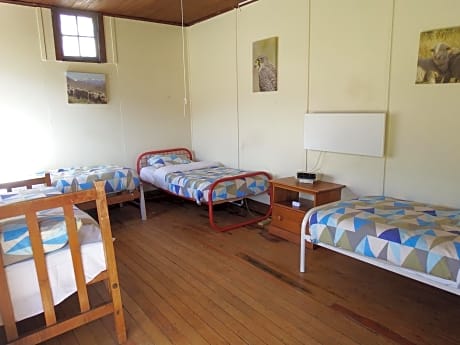 4-Bed Mixed Dormitory Room