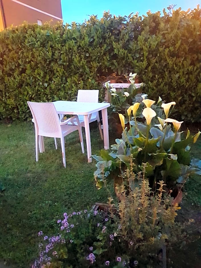 B&B La Damigiana Fioì