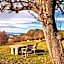 L'Avenc Benestar Rural