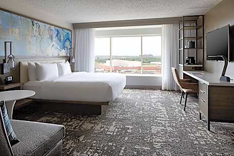 Room, 1 King Bed