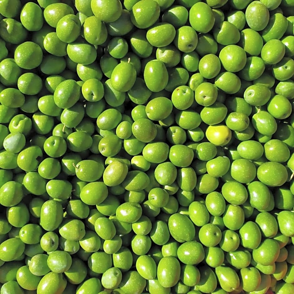 Orto de' Mandorli B&B