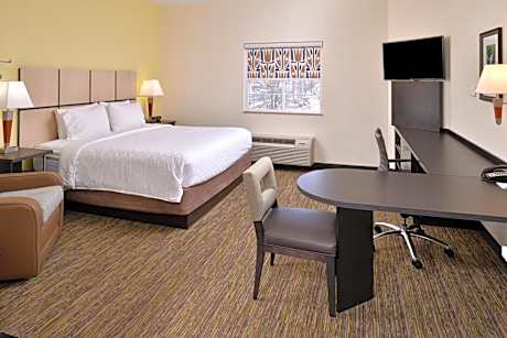 One-Bedroom King Suite with Sofa Bed