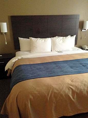 Standard King Room - Non-Smoking