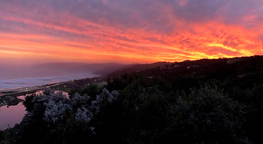 Forest Hill Wilderness