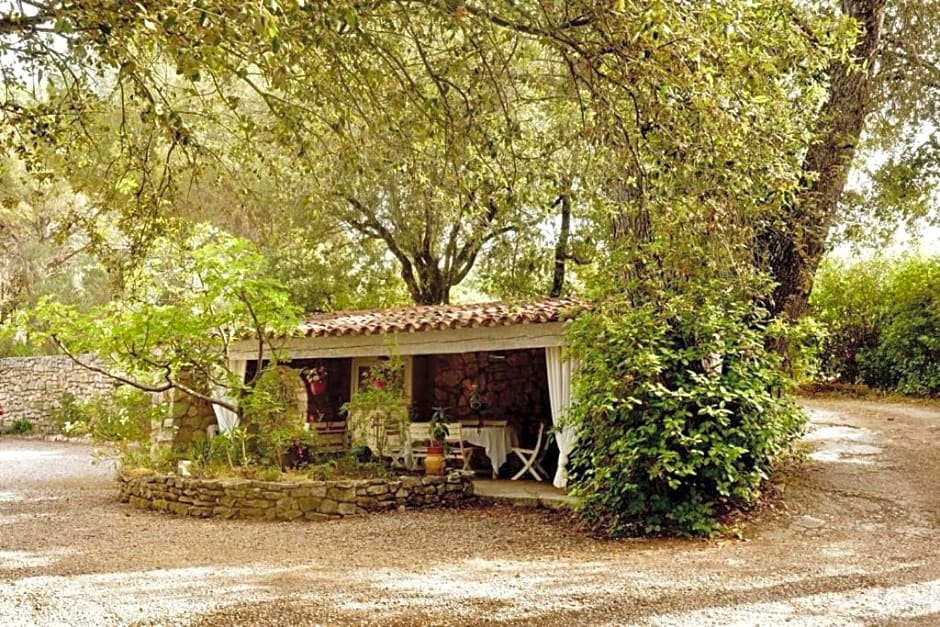 B&B Le Niaouli – Lorgues, ID