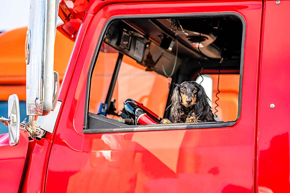 Motel 6-Fort Nelson, BC