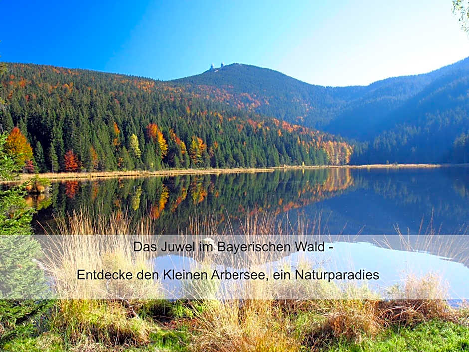 Hotel zur Linde - Bayerischer Wald - aktivCard mit 154 kostenfreien Leistungen - kostenloser Parkplatz