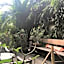 Tamarind Guesthouse