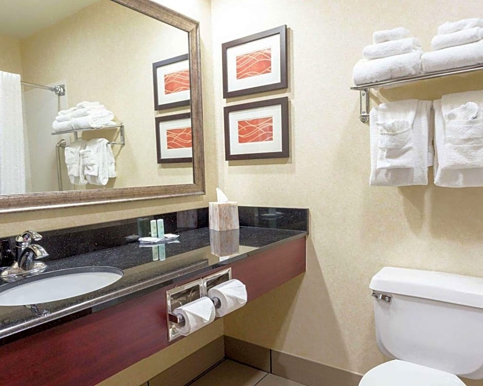 Comfort Inn Civic Center