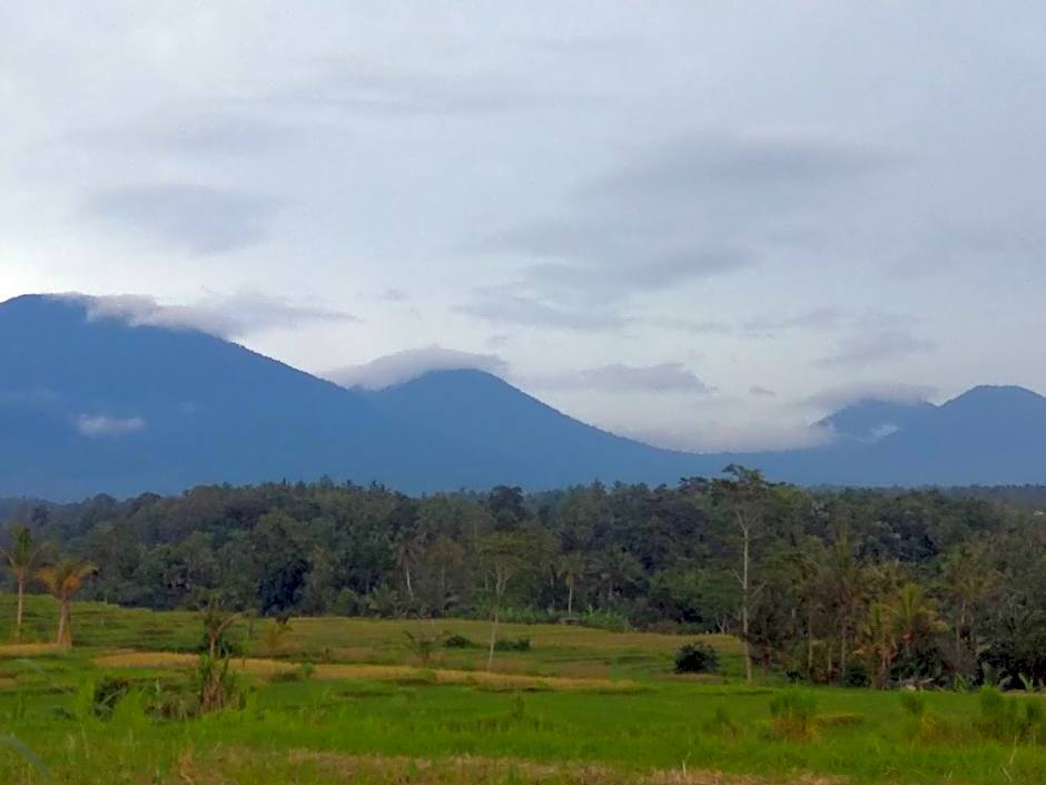 Bali mountain forest cabin