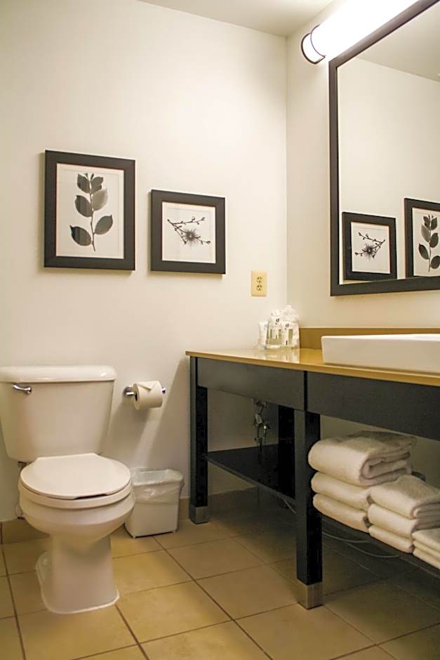 Country Inn & Suites by Radisson, Washington Dulles International Airport, VA