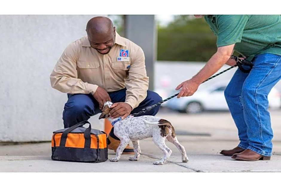 Motel 6 Tucson, AZ Airport Kino Sports Complex