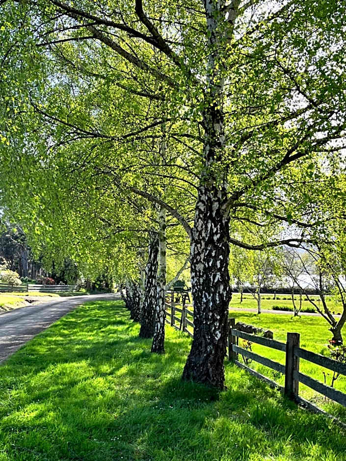 Green Gables B&B Waterfront Apartment or Garden Studio