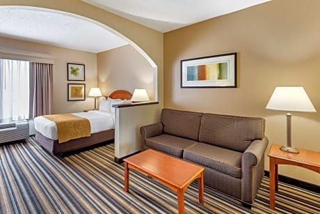 Comfort Suites Chesapeake - Norfolk