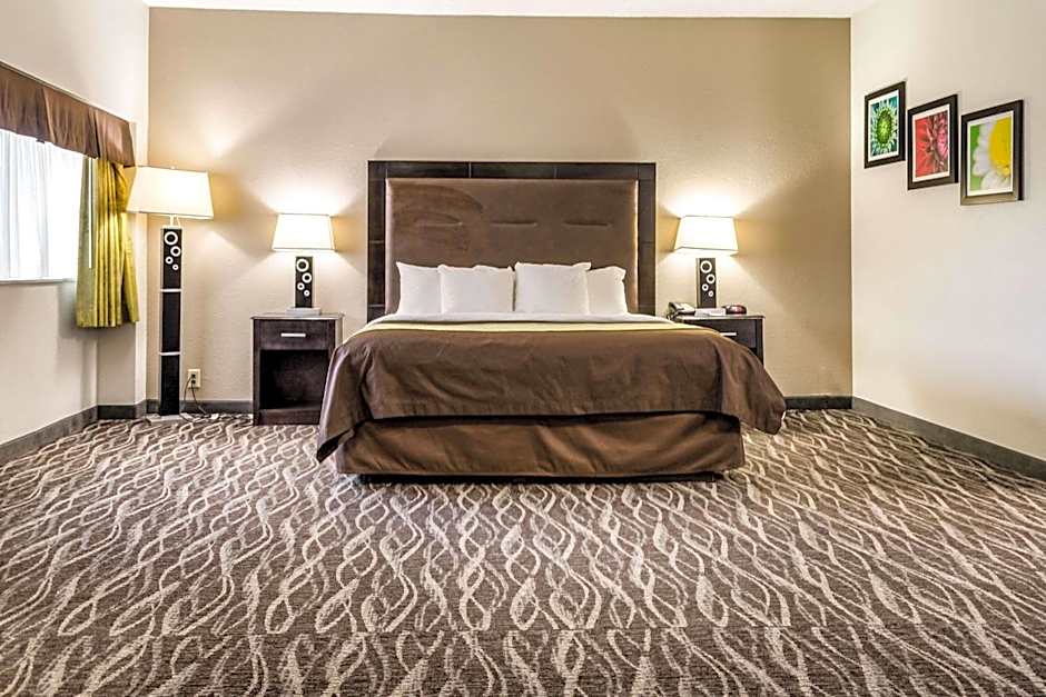 Comfort Inn Downtown Charleston