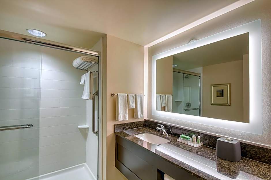 Holiday Inn & Suites Atlanta Airport North By IHG