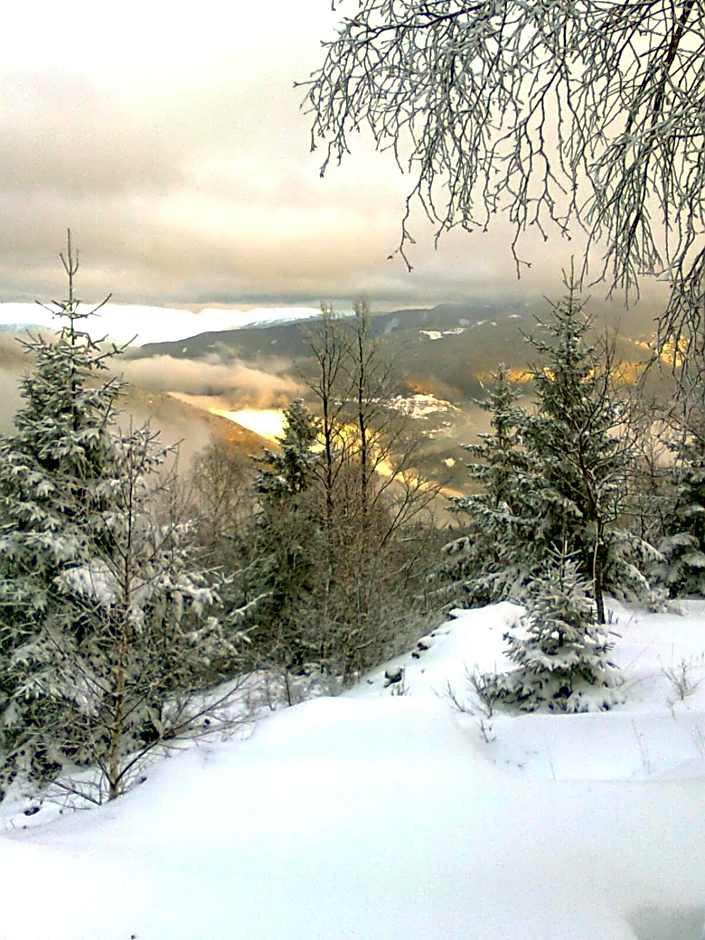 Hotel Tirol- Natural Idyll