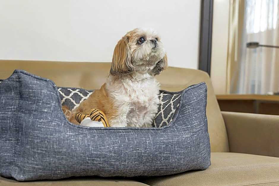 Residence Inn by Marriott Dayton North