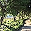 Lentelus Farmstay