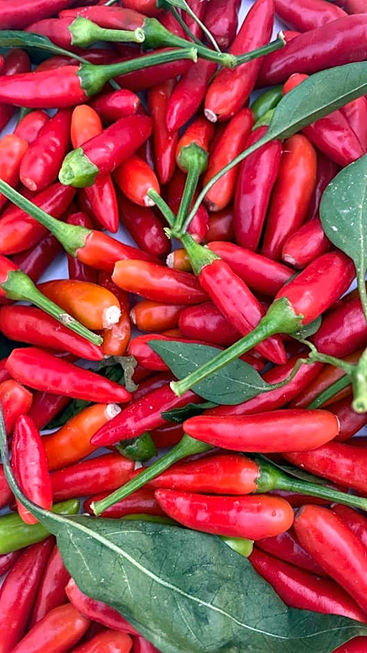 UNA HOTELS Tenuta Contessa Farm & SPA Cosenza