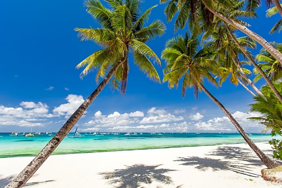 Apartelle De Francesca