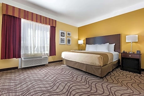 1 King Bed Deluxe Executive Room Non-Smoking