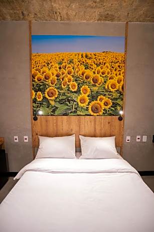 CAMPOS DE HOLAMBRA INN