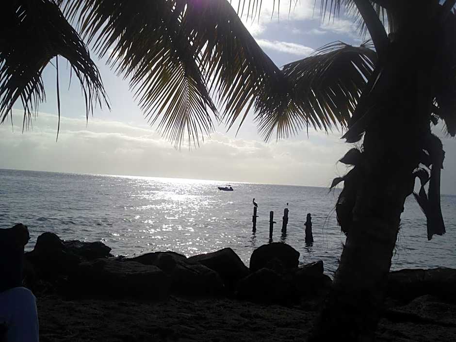 Martinique Treehouse