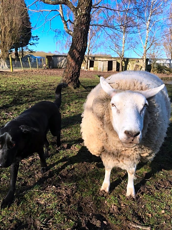 Marshlands Lakeside Nature Retreat