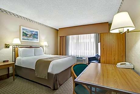 Queen Room - Non-Smoking